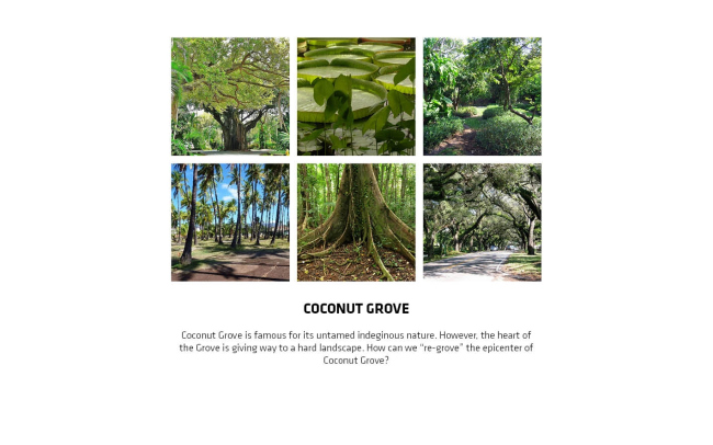 ����� �������� Grove at Grand Bay � BIG