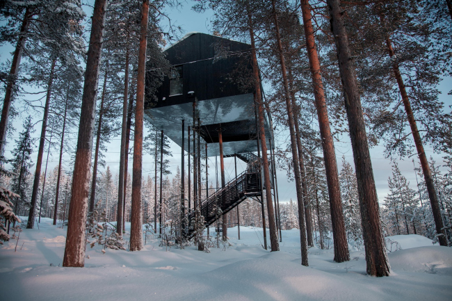 ����� The 7th room � ��������� Treehotel � Johan Jansson