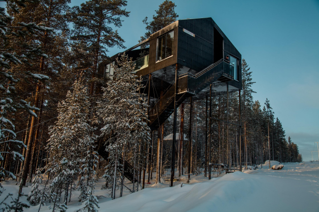 ����� The 7th room � ��������� Treehotel � Johan Jansson