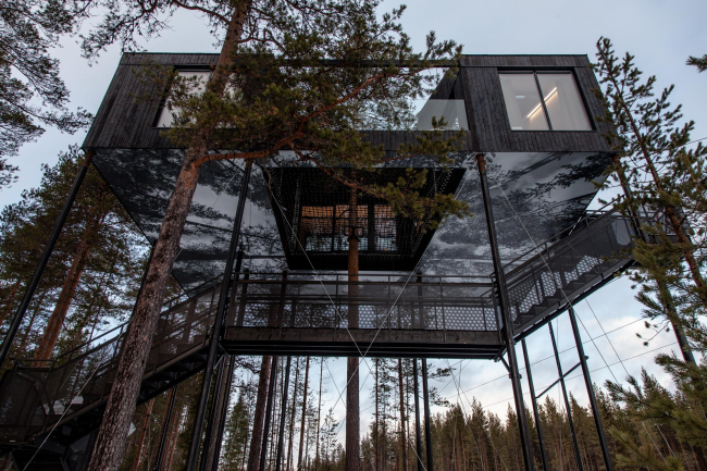����� The 7th room � ��������� Treehotel � Johan Jansson