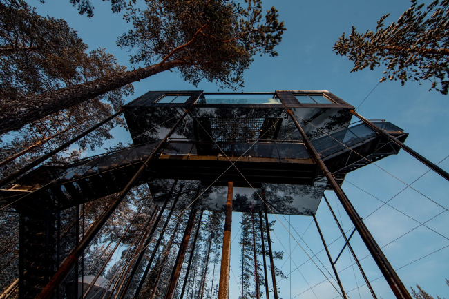 ����� The 7th room � ��������� Treehotel � Johan Jansson