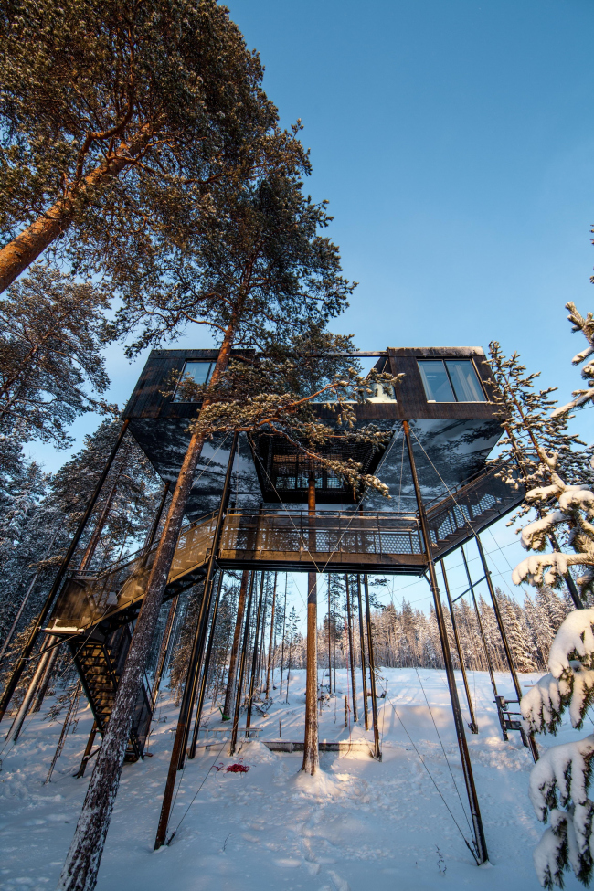 ����� The 7th room � ��������� Treehotel � Johan Jansson