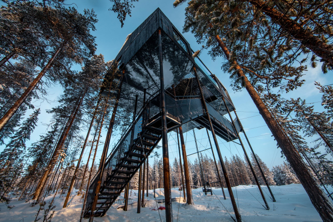 ����� The 7th room � ��������� Treehotel � Johan Jansson