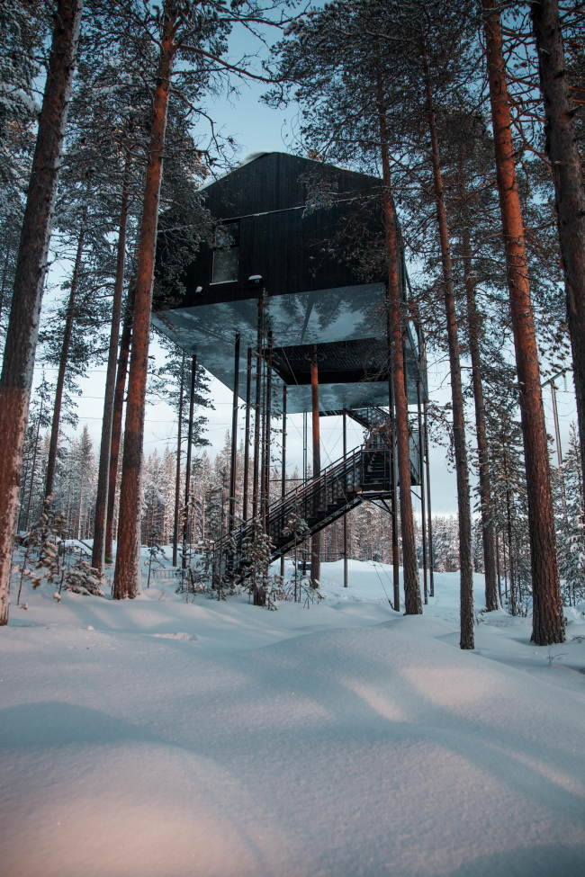����� The 7th room � ��������� Treehotel � Johan Jansson