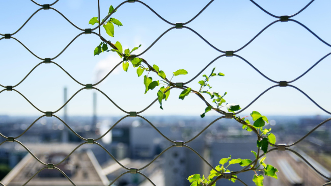 M6B2 ����� ��������������� � Pierre L′Excellent