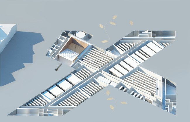 ���������� ����� �������� �� ������� � OMA