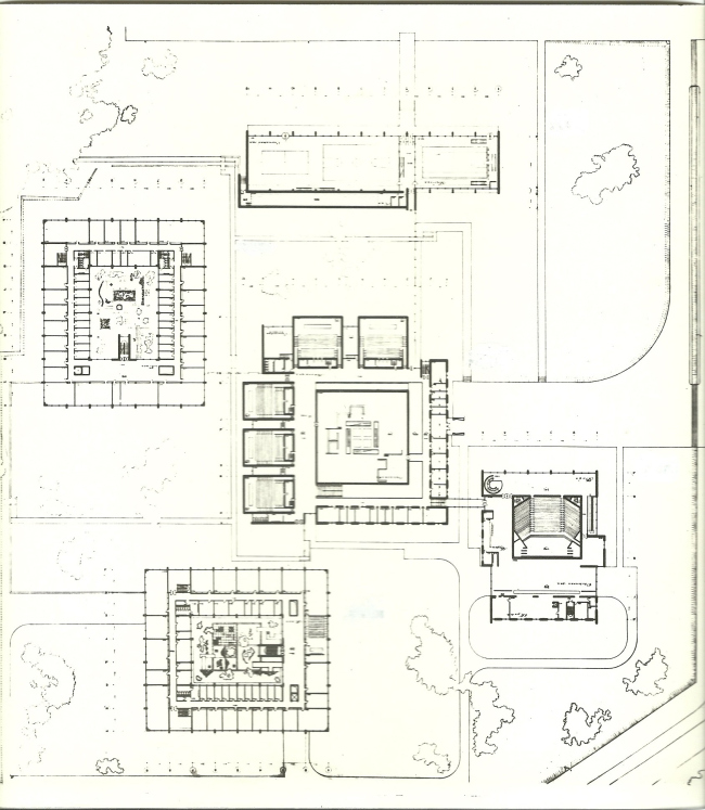 ���� ������� �����