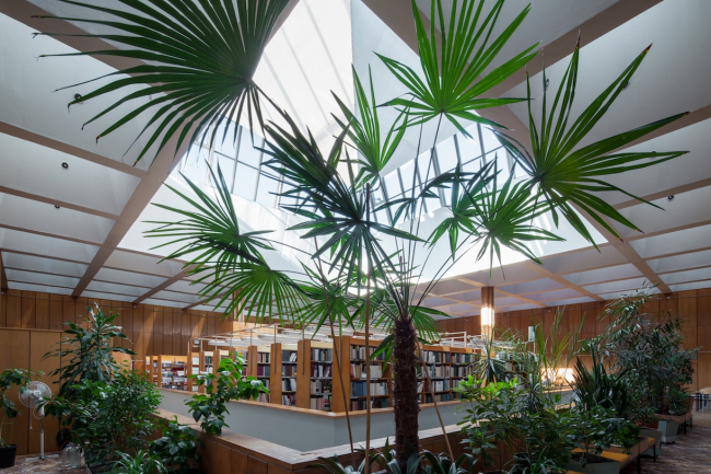 �������� ����������. 2015 �. ���� � ����� ������