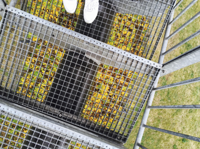 ����� � �������� � ��������� ���������