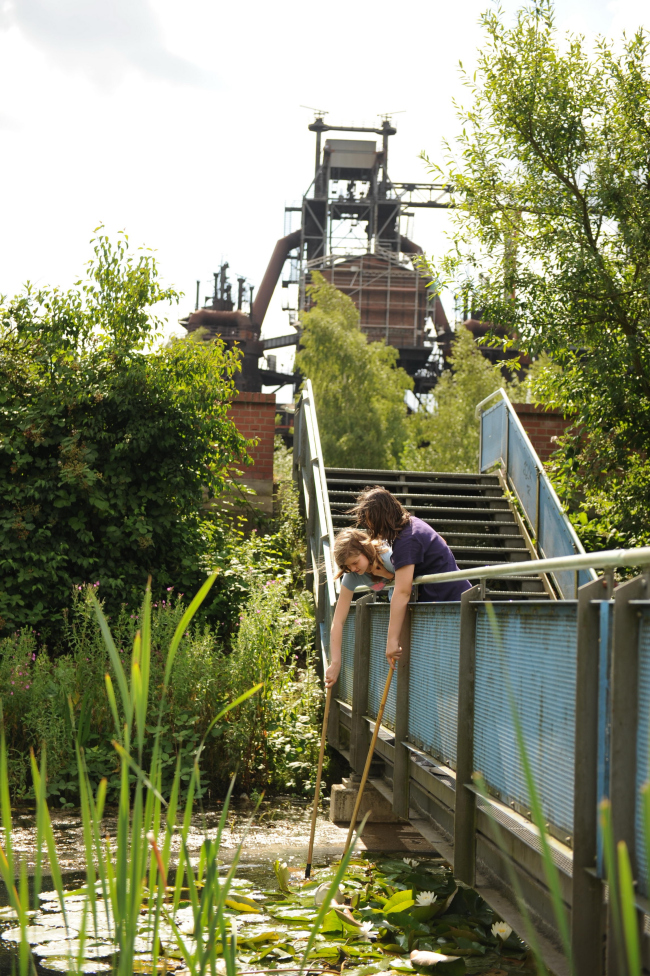 ���� ��������-���� � Thomas Berns