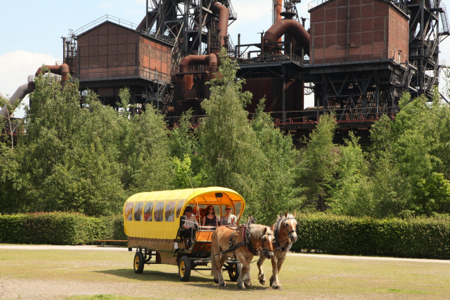 ���� ��������-���� � Thomas Berns