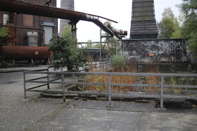 ���� ��������-���� � ��������� ���������