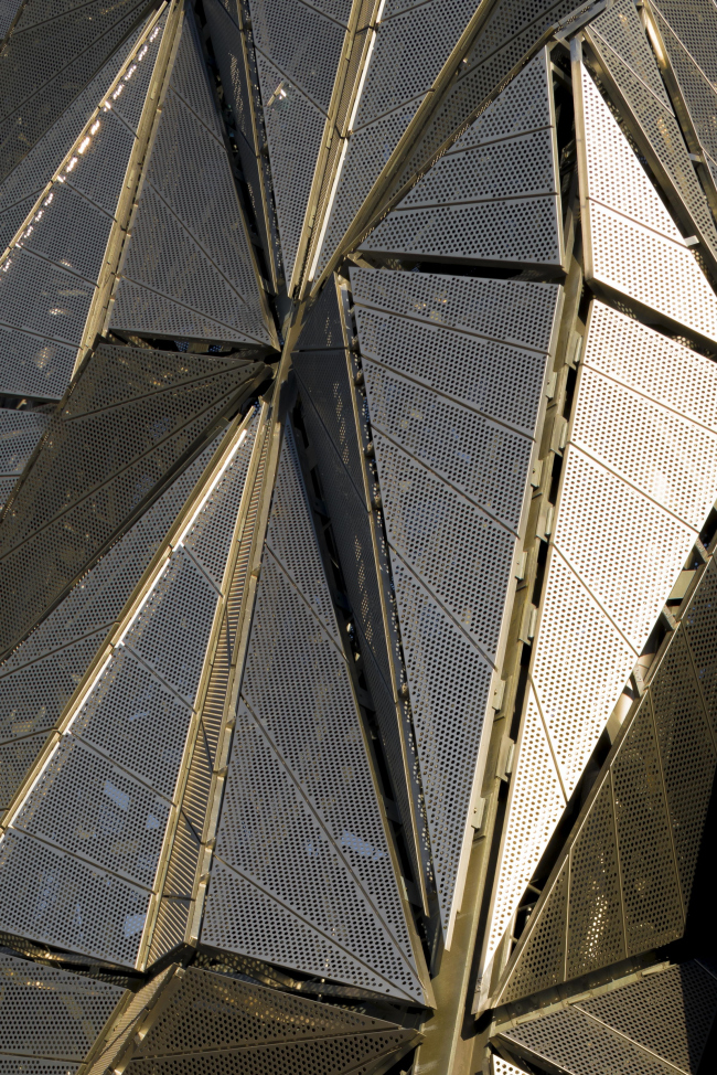 ��� �� ����������� ������� � Mark Hadden