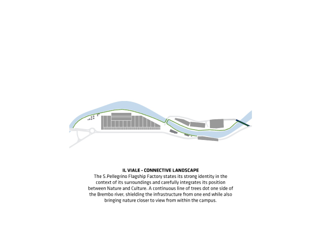 �����. ������ ������������ ������ ����-���������� � BIG