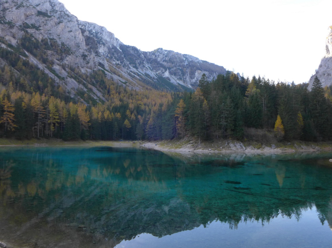 ������ ����� � ������ ��������������