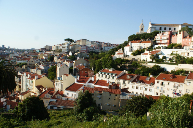 ��� ���������