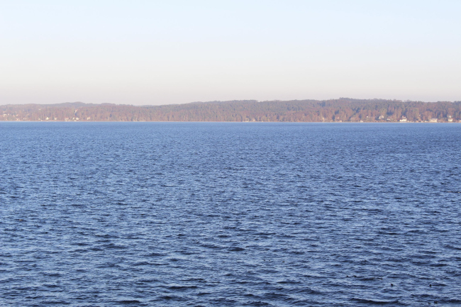 ����� �������� ��������. ���� � ��������� ���������