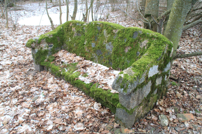 ������� ���������  ������ ����������, ���� ���������� ��������������� �������. ���� � Mikołaj Troniewski‎