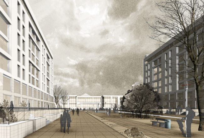 ��������� ��������� ����������, ������������ ������������ ���������� � ������� �����������, ����������� � �������� � �����-55�