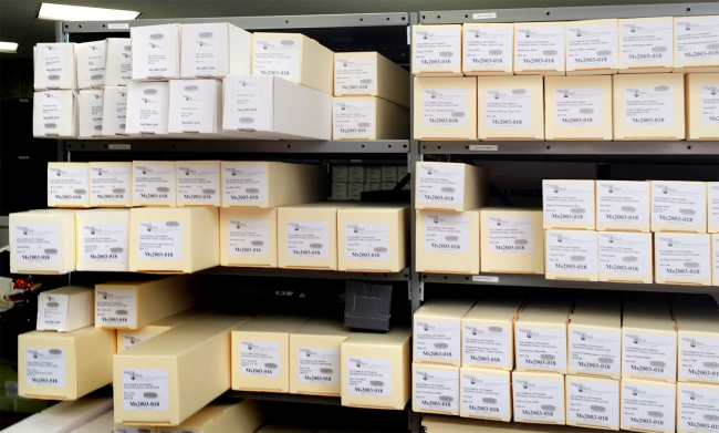 ��������� �������������� ������ IAWA / ������������� ����� ���������