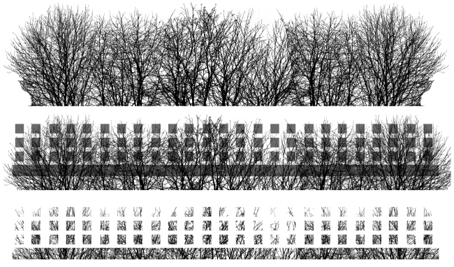 ����� �������� � ���� �� ������������� ����������. ����������� ����������� �������� ��� ������ �� ������. ������, 2005 � �� ���������