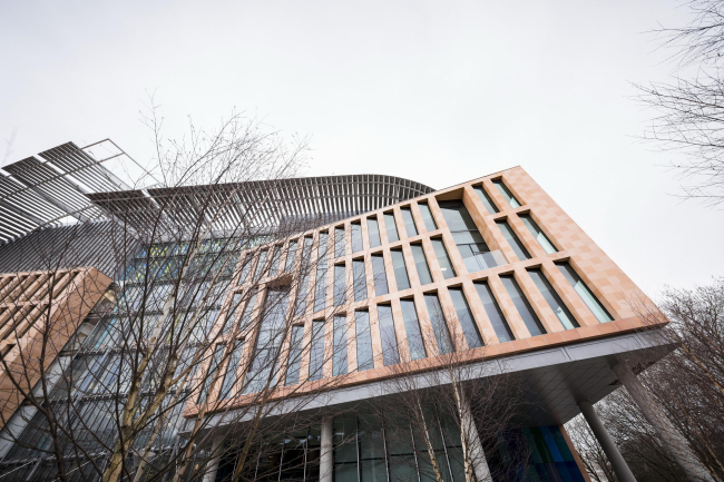 �������� �������� ����� � Wellcome Images