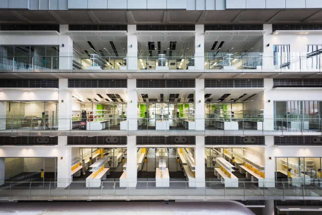 �������� �������� ����� � Wellcome Images