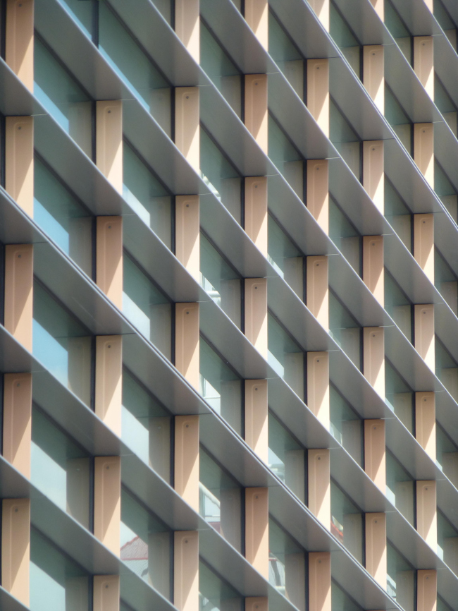 �������� �������� ����� � Wellcome Images