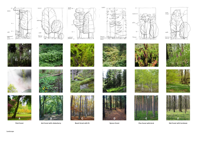 ����-�������� ����������� Lesy České republiky � Chybik+Kristof 
