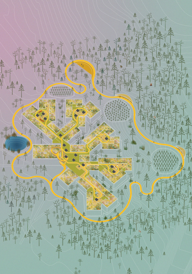 ����-�������� ����������� Lesy České republiky � Chybik+Kristof 
