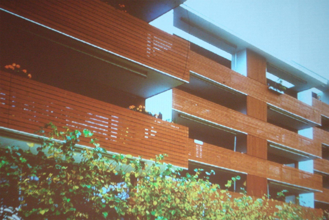 �������� ����. ��� ������������� ������ ����� 1960-� ��. � ���������