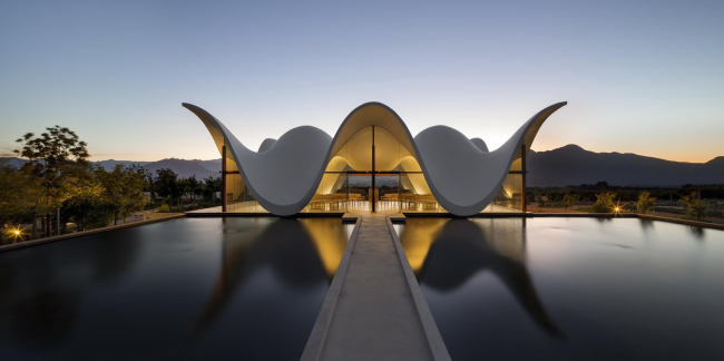 ������� ������ � Adam Letch