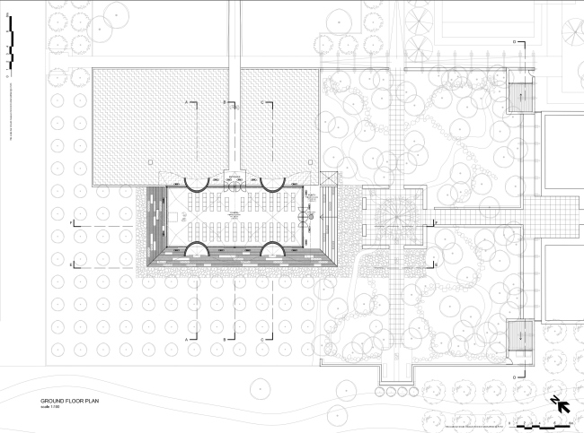    Steyn Studio
