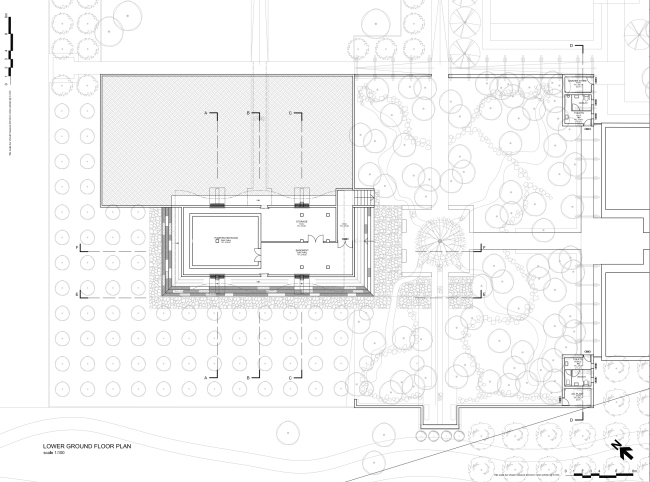 ������� ������ � Steyn Studio