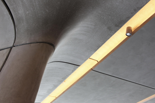 ������ ����� �������� � Corones � ��������� ���������