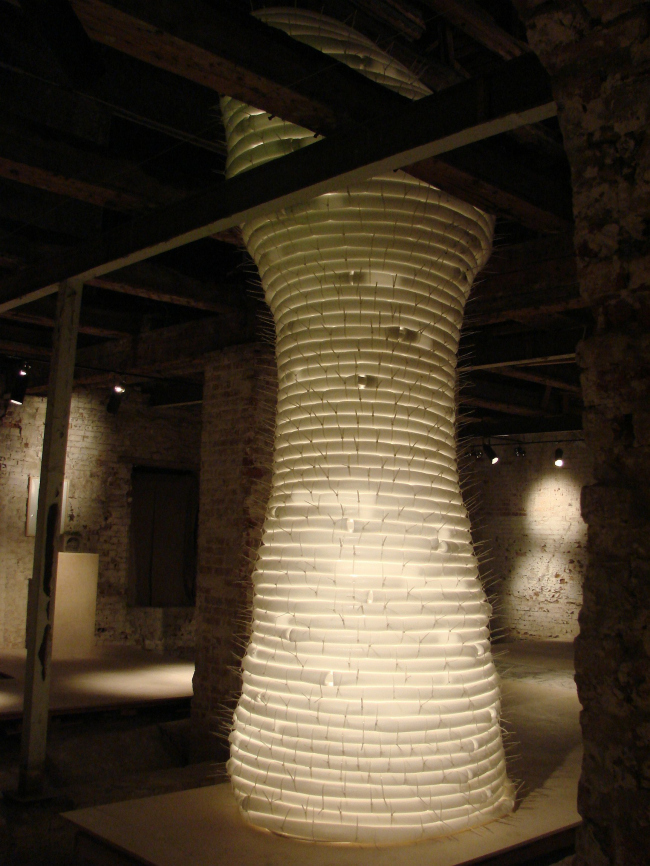 ���-���. ������ �������, ������ �����. ��� ��������