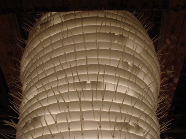 ���-���. ������ �������, ������ �����. ��� ��������