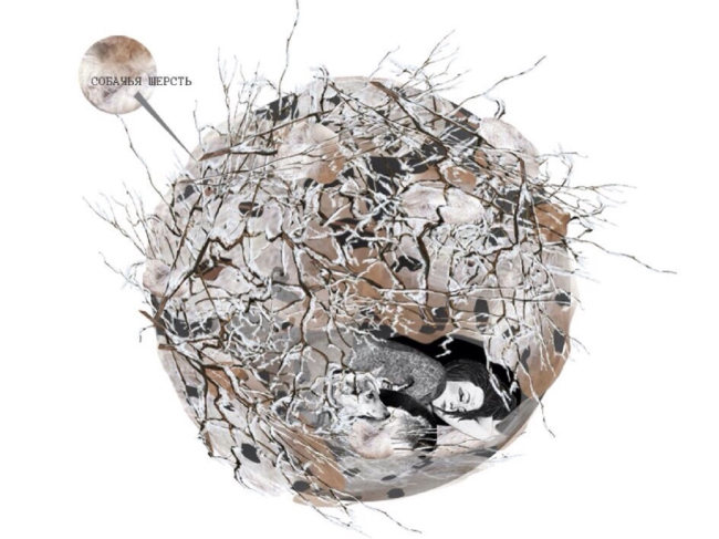 ������ ������� �������� ��������� ��� �����������-2017�. ����������� ������������� �������� ��������� �����������