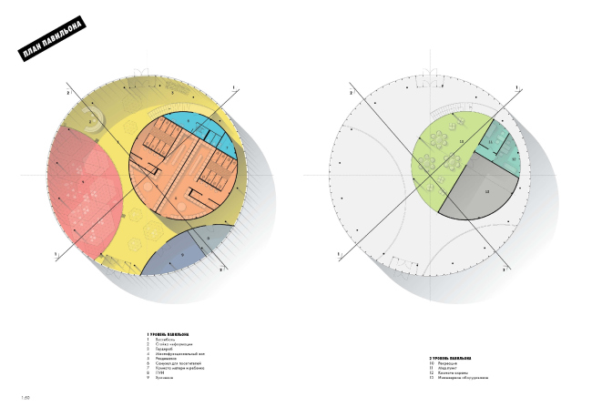 ��������� ����������� ������ Nike � ����� �������� � �� ������ 