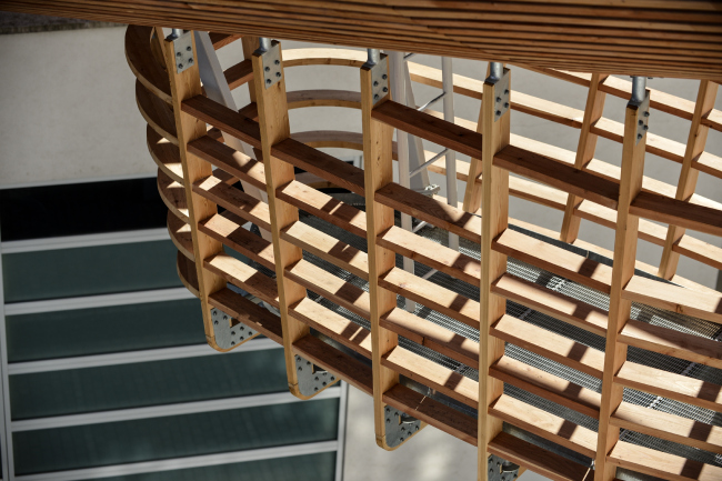  .    DOX,   Petr Králík