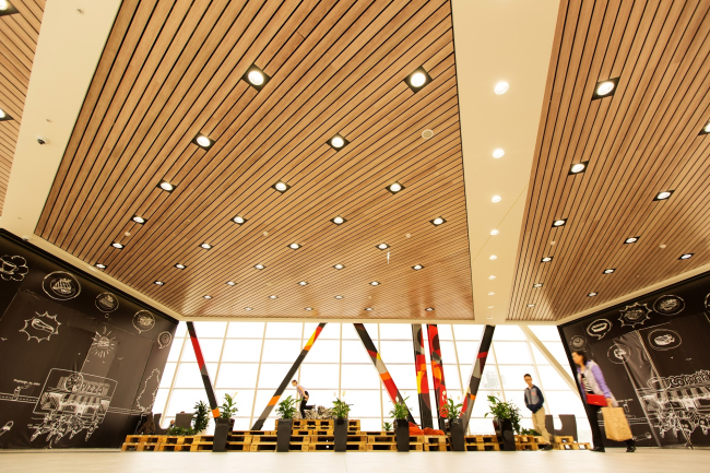 ��� �����-����� ����. ���� � ���-����������