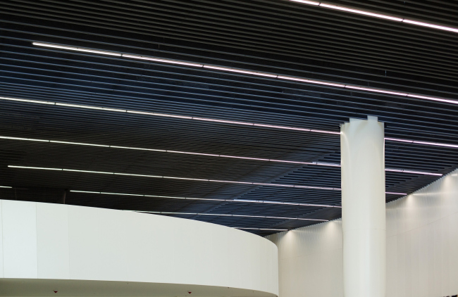 ������������� �������� ���������. ���� � ���-����������