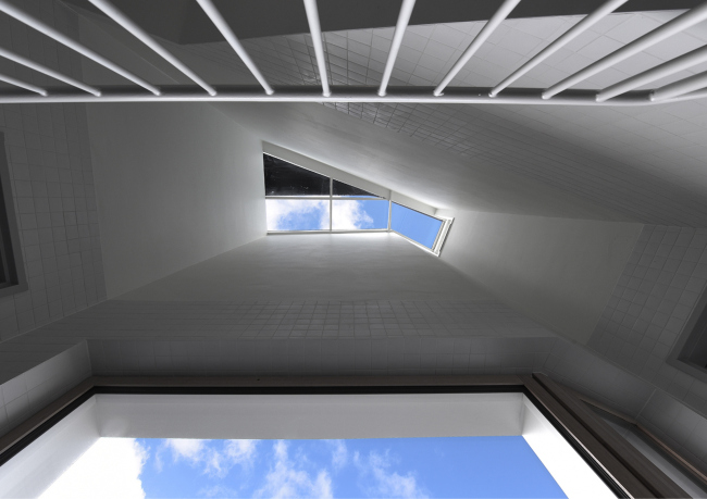 ��������������� ��� Navez � Serge Brison / MSA