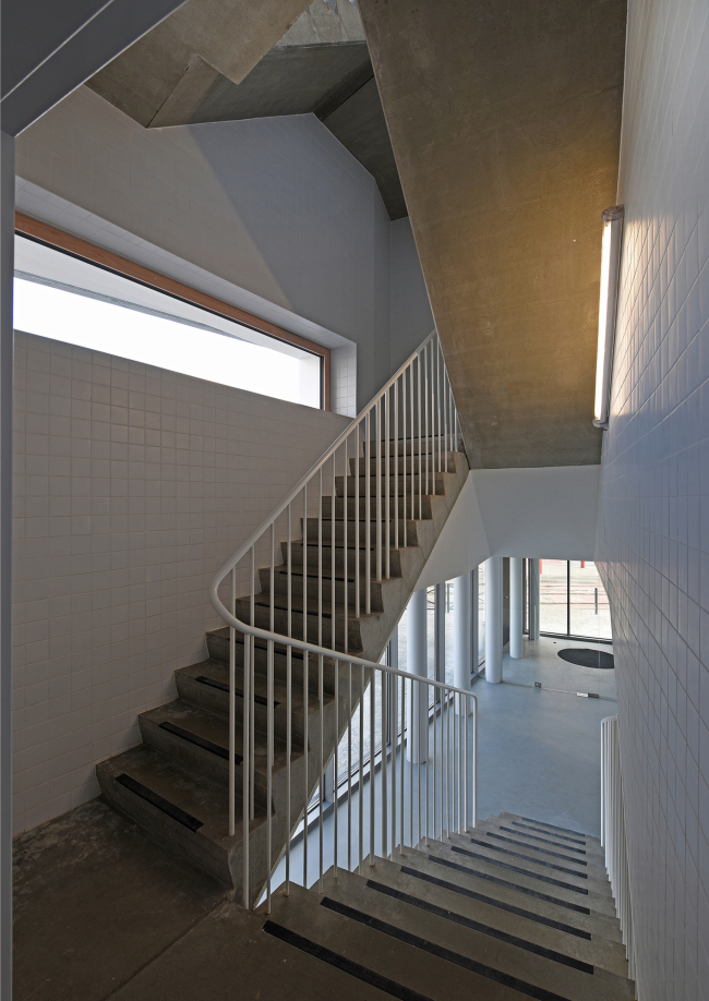 ��������������� ��� Navez � Serge Brison / MSA