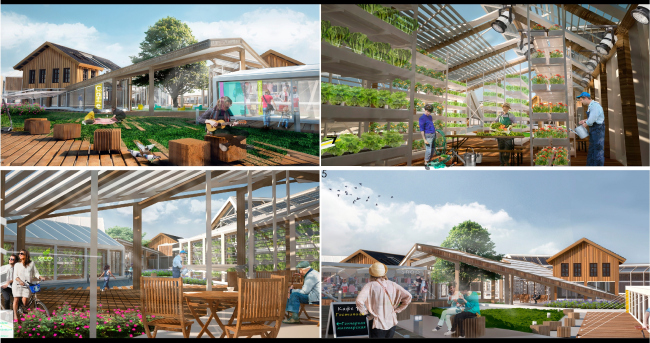 ������� �����. ���������� ������� ������������ �� ������� ������, ������ �����������-�����������. �����: ����� �������. ����������� ������������� ������ ����������