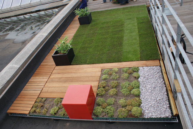 ���������� ������� ������� �� ������������ ������ Buzon. ���������� ������������� ��������� Buzon