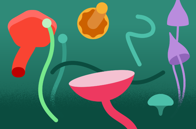 ����������� ������������� �������� ��������� ����������