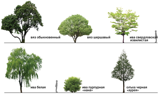 �������, ������������ � ������� � ���� �����. �������� ���� � ������. ���� ������� �����. ������: �. ������. ������: �. �������, �. ���������, �. ������������, �. �������, �. ��������, �. ���������, �. ����������, �. ���������, �. ��������, �. �������, �. ������� / ������������� Park.tatar