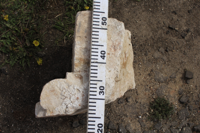 ���������� ������ ������� ���������� ��������� ��������� � �����. �������� 2017. �������� ������������� ������, ��������, ����������� � ������ 1713-1722. ���������� � ���� ����������, ����.�� 