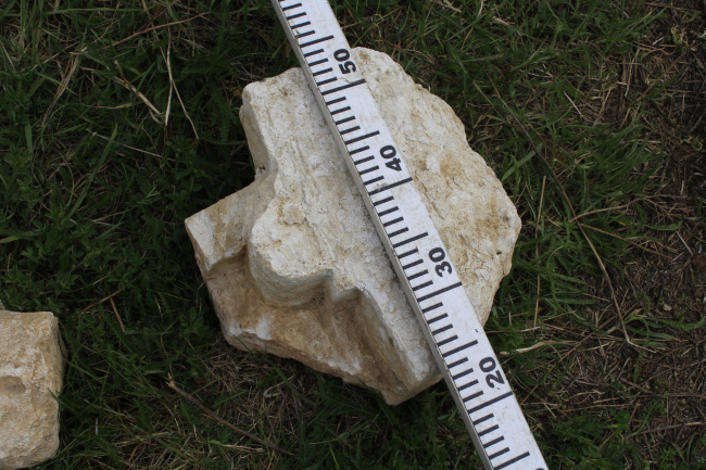 ���������� ������ ������� ���������� ��������� ��������� � �����. �������� 2017. �������� ������������� ������, ��������, ����������� � ������ 1713-1722 (?). ���������� � ���� ����������, ����.�� 